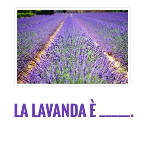 P_20190301_214040-01