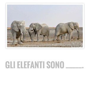 P_20190301_214145-01