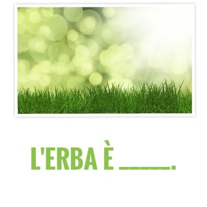 P_20190301_214311-01